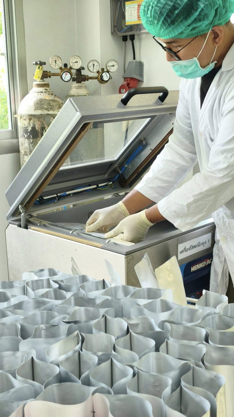 597691298_1388903589688863_7017595489380333628_n